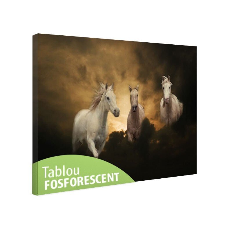 Tablou fosforescent Trei cai albi, 120x80 cm