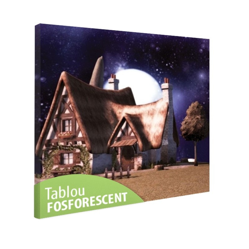 Tablou fosforescent Luna din spatele casei, 80x80 cm