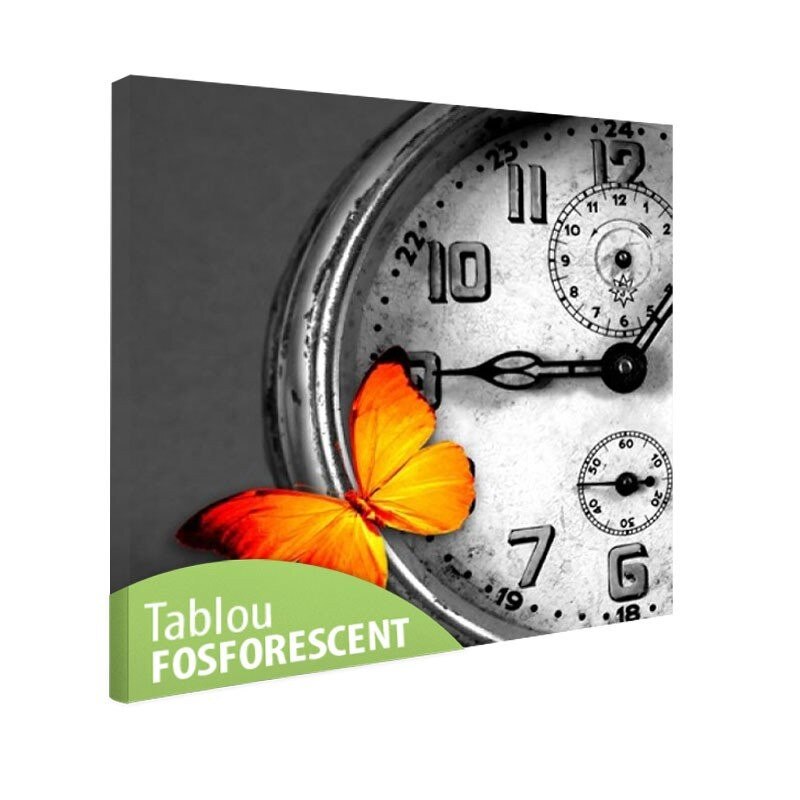 Tablou fosforescent Fluture, 40x40 cm