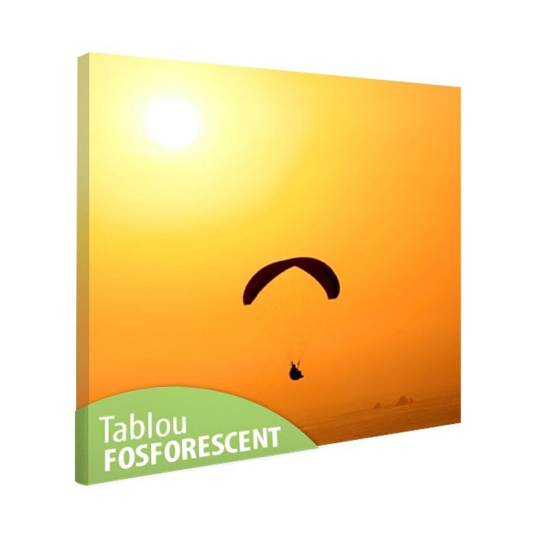 Tablou fosforescent Parapanta, 60x60 cm