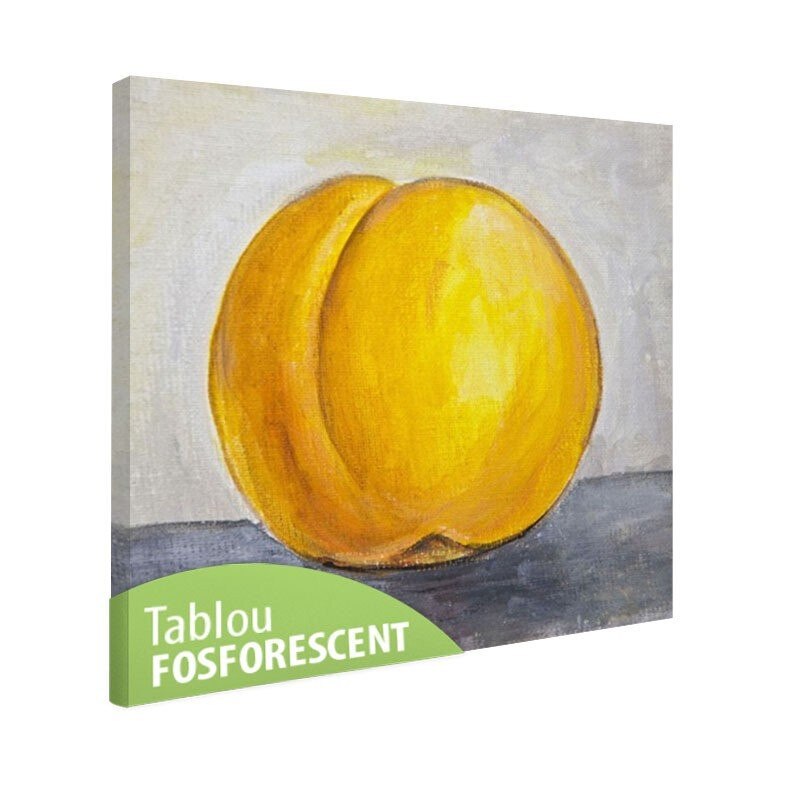 Tablou fosforescent Piersica, 50x50 cm