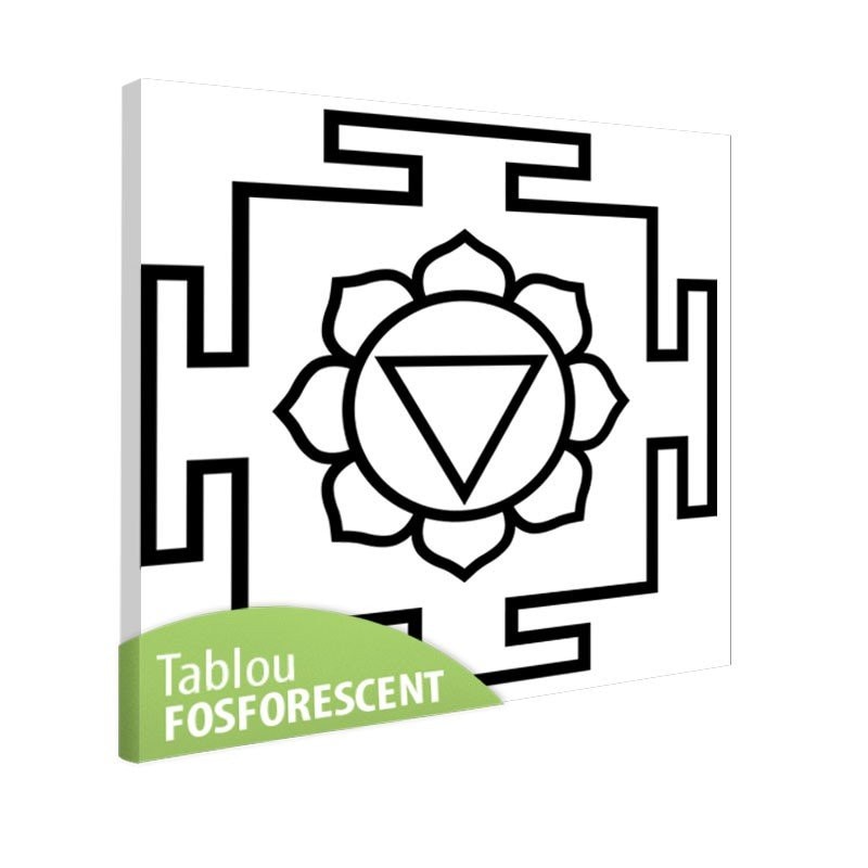 Tablou fosforescent Meditatie 3, 30x30 cm