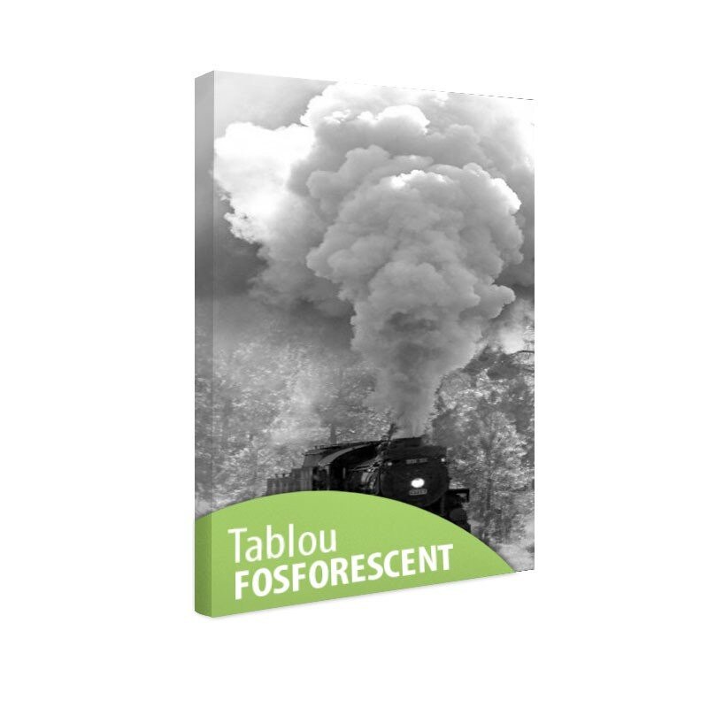 Tablou fosforescent Tren cu aburi 40x80cm