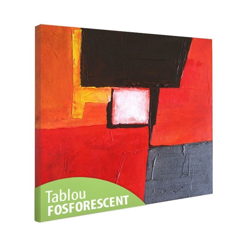 Tablou fosforescent Pictura moderna 50x50 cm