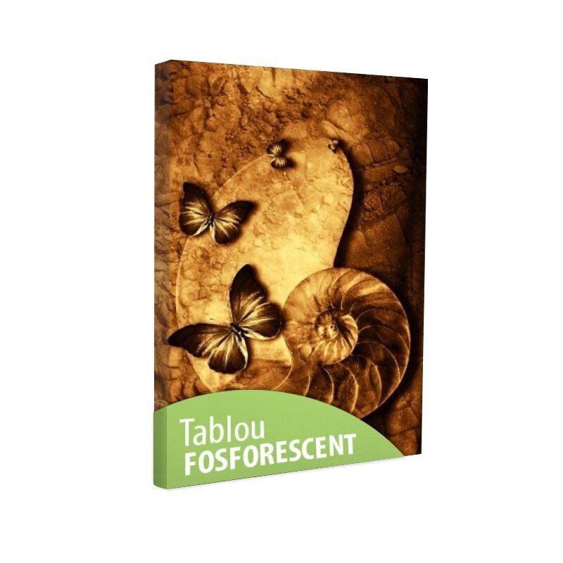 Tablou fosforescent Fluturi 90x60 cm