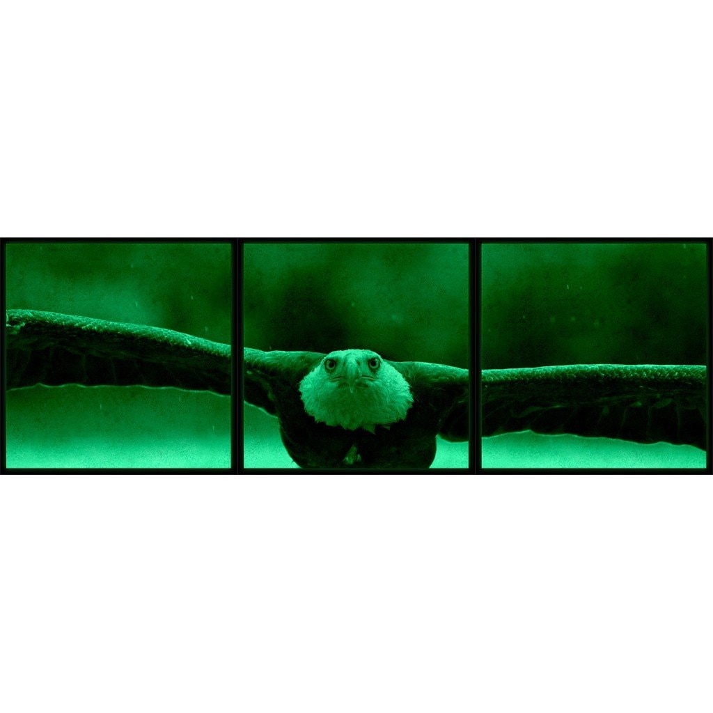 Set tablou fosforescent Vultur 30x30 cm