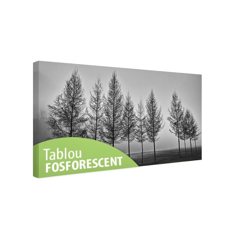 Tablou fosforescent Ceata 40x20 cm