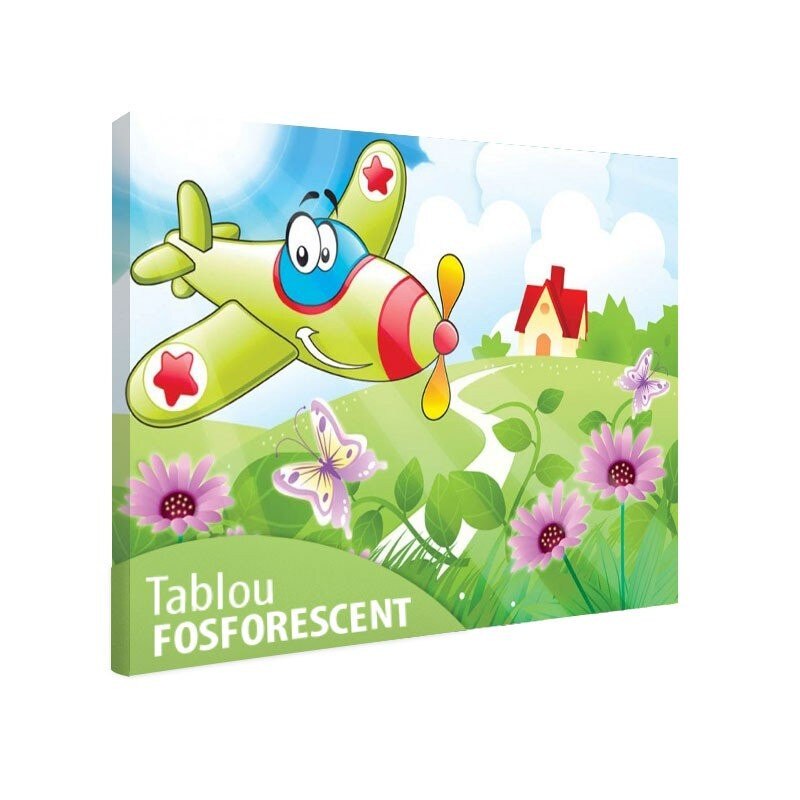 Tablou fosforescent Avionul vesel 60x90 cm