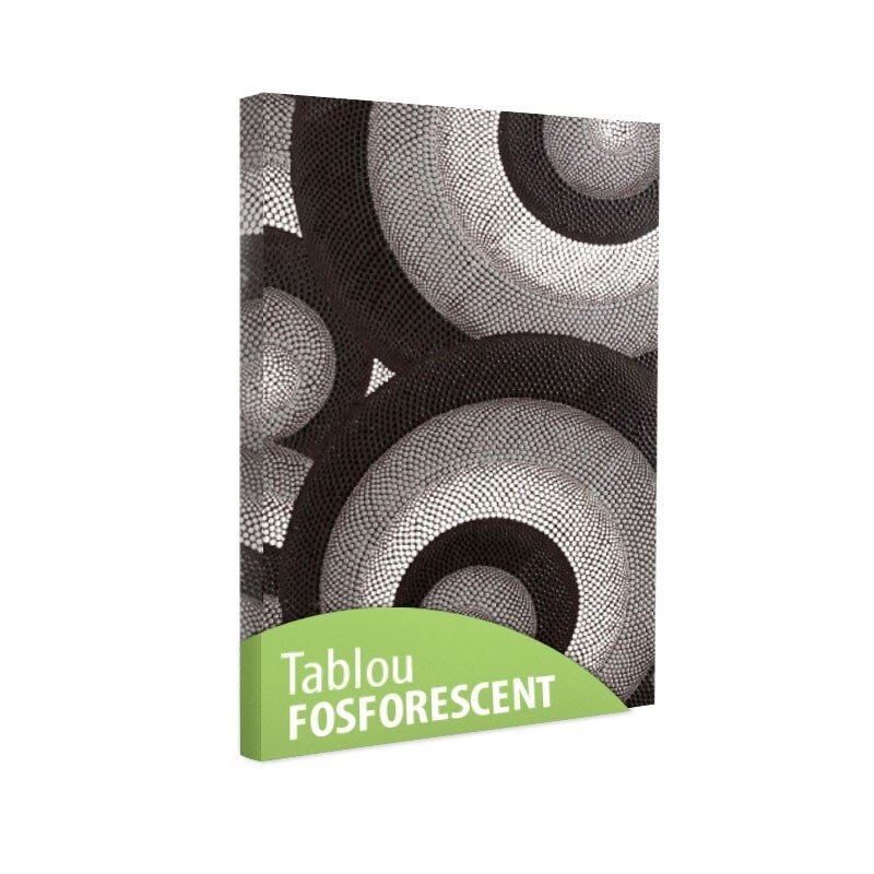 Tablou fosforescent Cercuri 120x80 cm