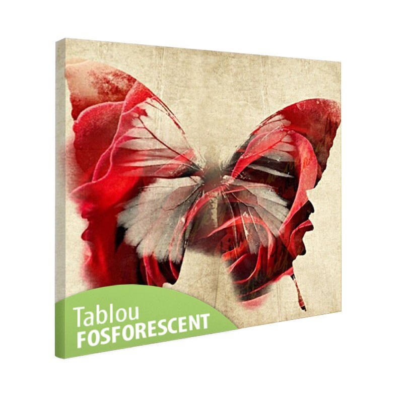 Tablou fosforescent Fluture rosu 30x30 cm