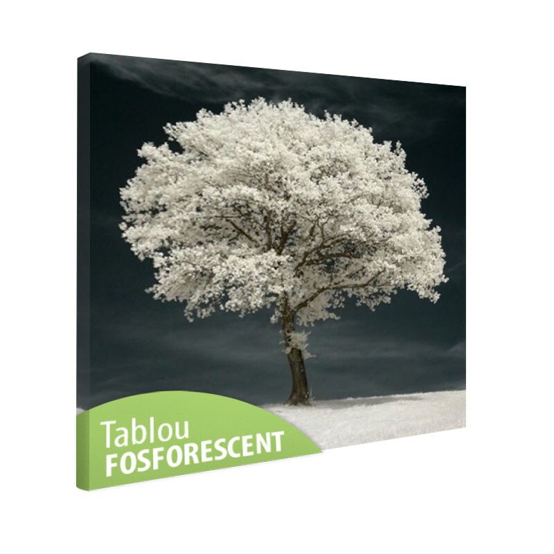 Tablou fosforescent Copac alb 80x80 cm