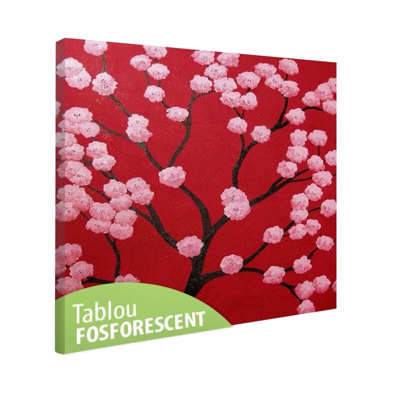 Tablou fosforescent Cires oriental 30x30 cm