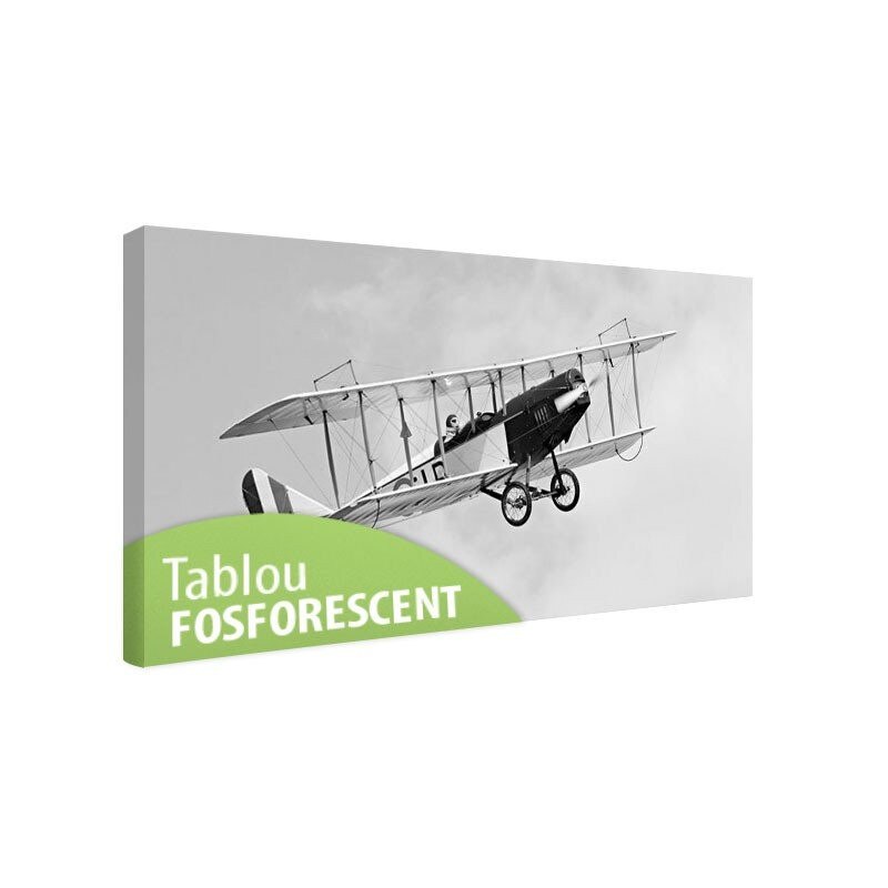 Tablou fosforescent Biplan in zbor 120x52 cm