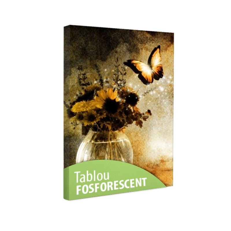 Tablou fosforescent Evadarea fluturelui 120x80 cm