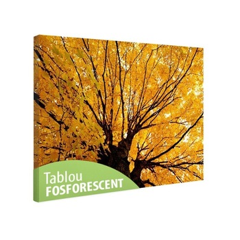 Tablou fosforescent Copac ingalbenit 120x80 cm Tablou fosforescent Copac ingalbenit 120x80 cm