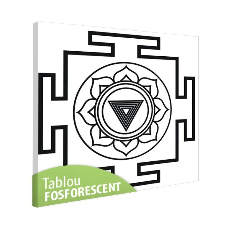 Tablou fosforescent Meditatie 4, 40x40 cm