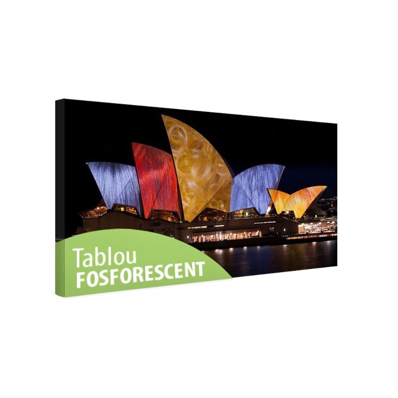 Tablou fosforescent Opera din Sydney, 80x40 cm