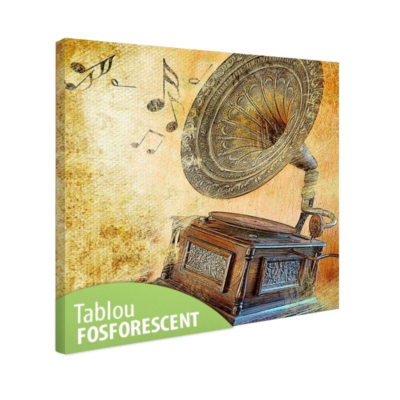 Tablou fosforescent Gramofon 30x30 cm