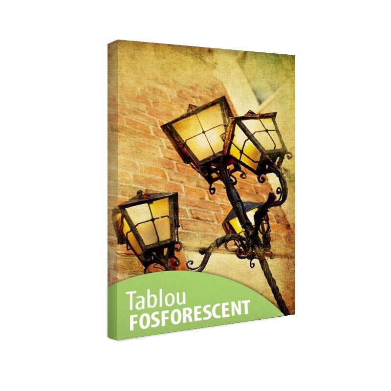 Tablou fosforescent Felinar 120x80 cm