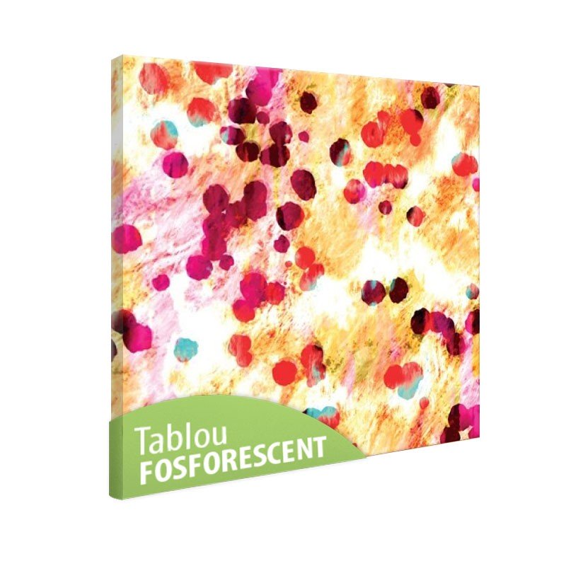Tablou fosforescent Acoperire abstracta 40x40 cm