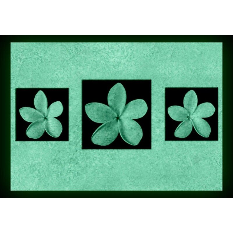 Set tablou fosforescent Plumeria 40x60 cm