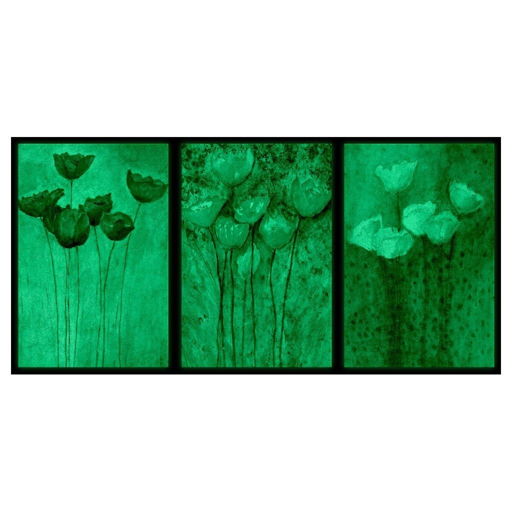 Set tablou 3 piese fosforescent Trei culori 30x20 cm