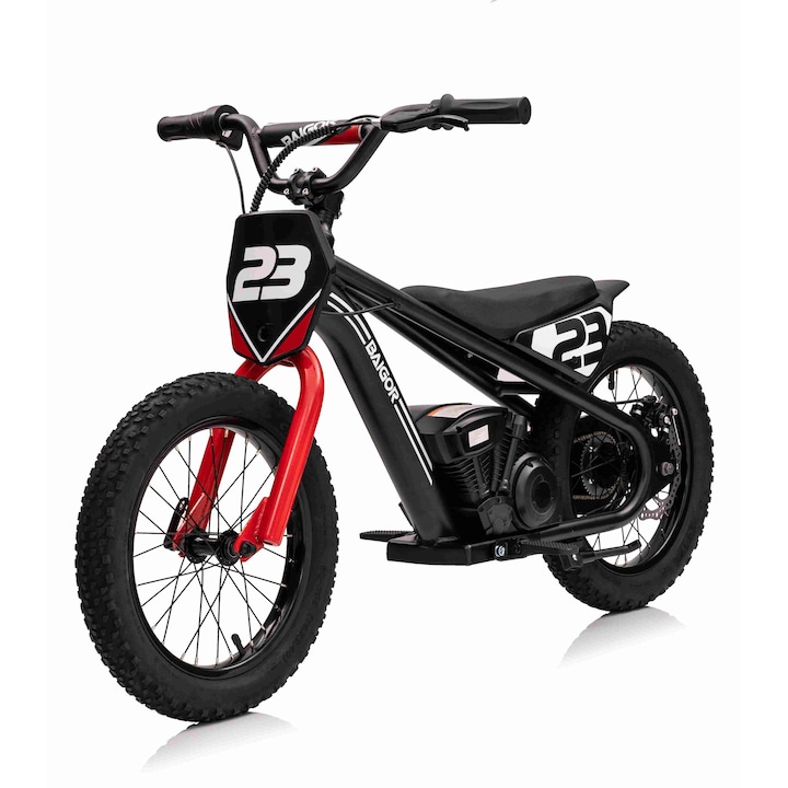 Motor BAIGOR 23 PRO CZ, Modell ND28_15776_PA_BAIGOR-23_CZ