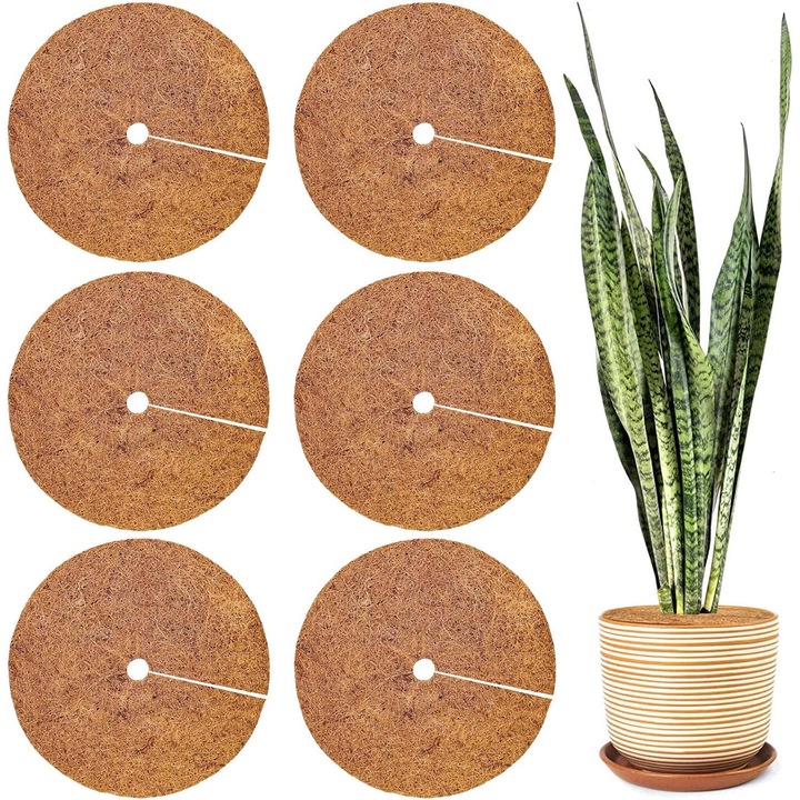 Set de 6 discuri de cocos pentru protectia plantelor