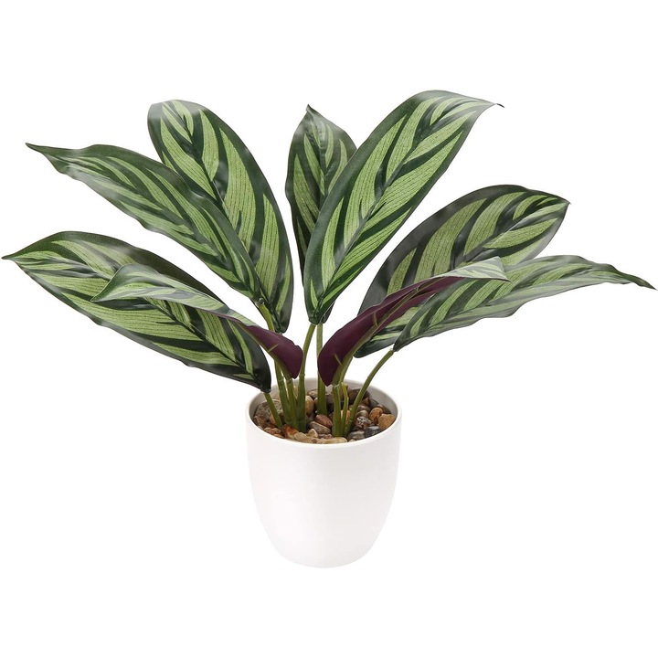 Floare artificiala in ghiveci Calathea 33cm, Briful, frunze mari, multicolor