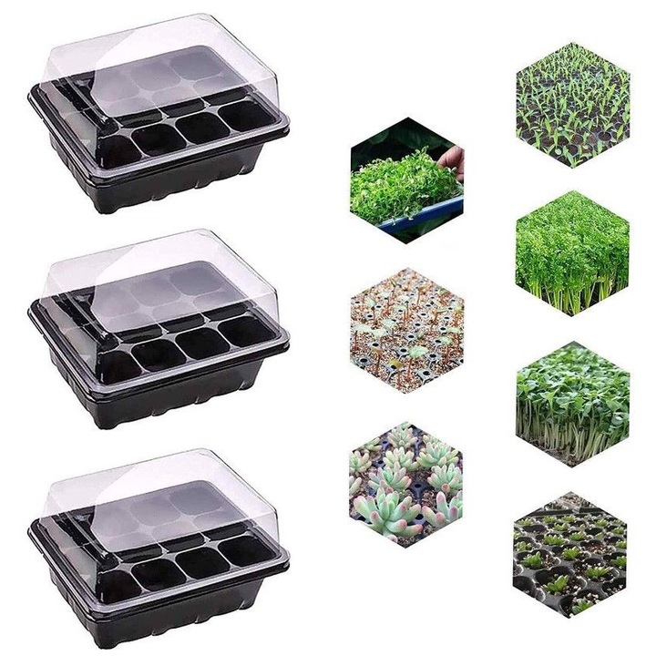 Ghiveci cu tava pentru plantarea lastarilor, 3 bucati