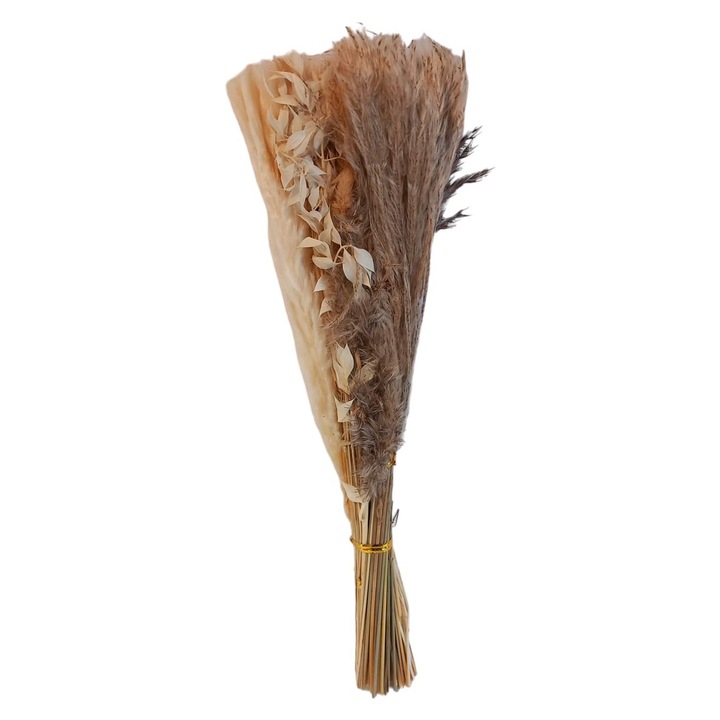 Buchet de 80 fire de iarba pampas uscata, 45cm