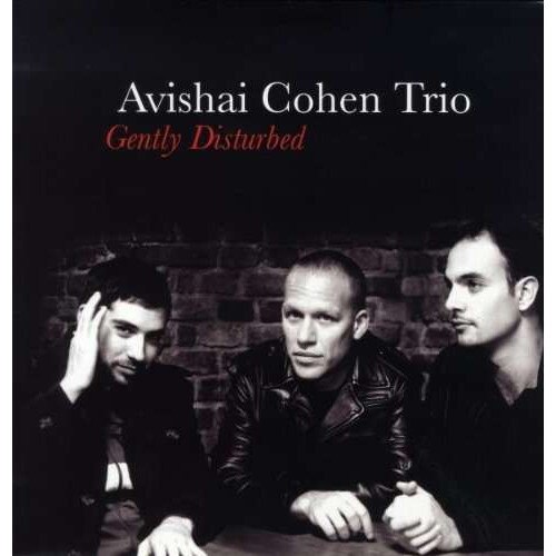 Avishai Cohen - Gently Disturbed (LP)