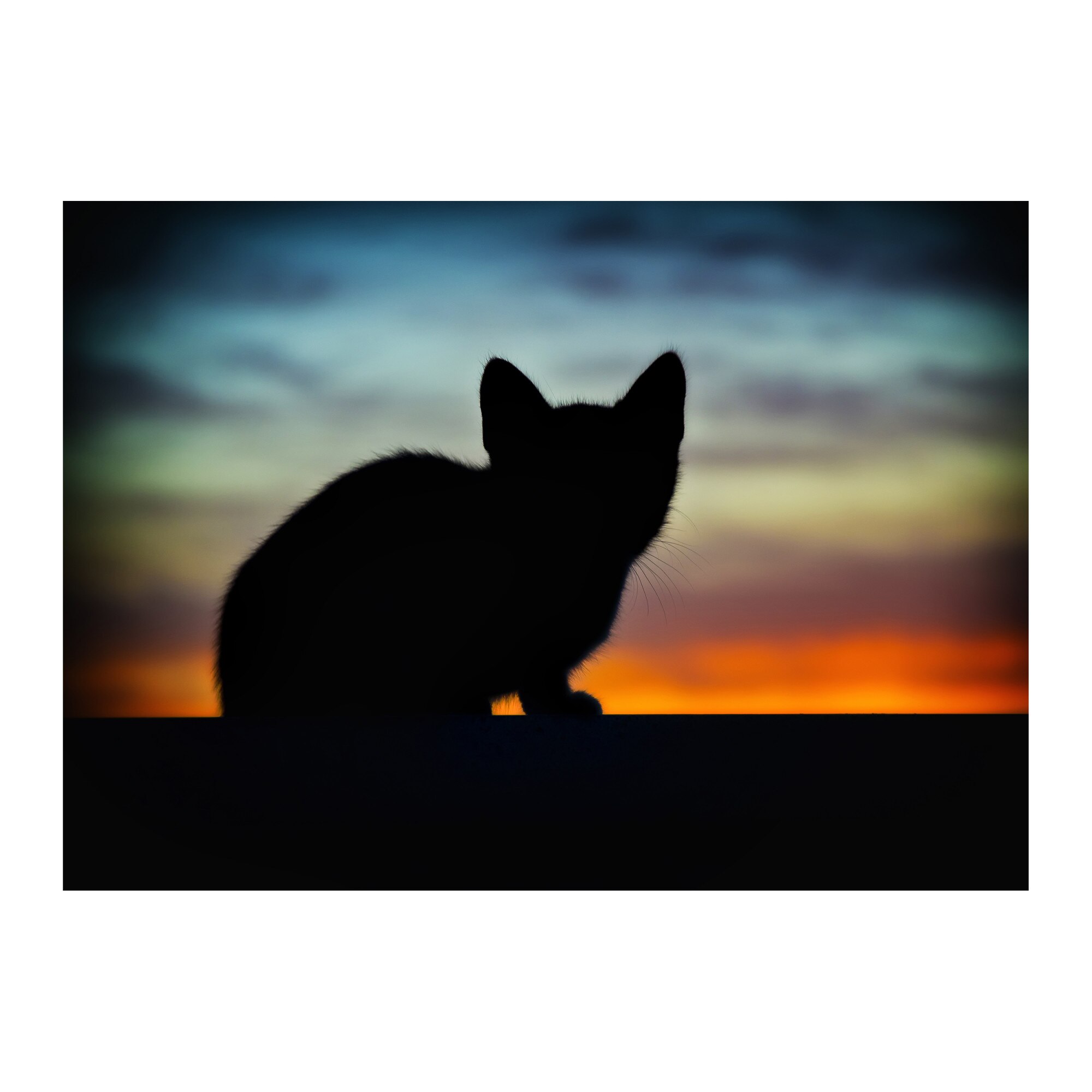 Tablou Canvas Artantida - Silhouette Cat 80x60 cm