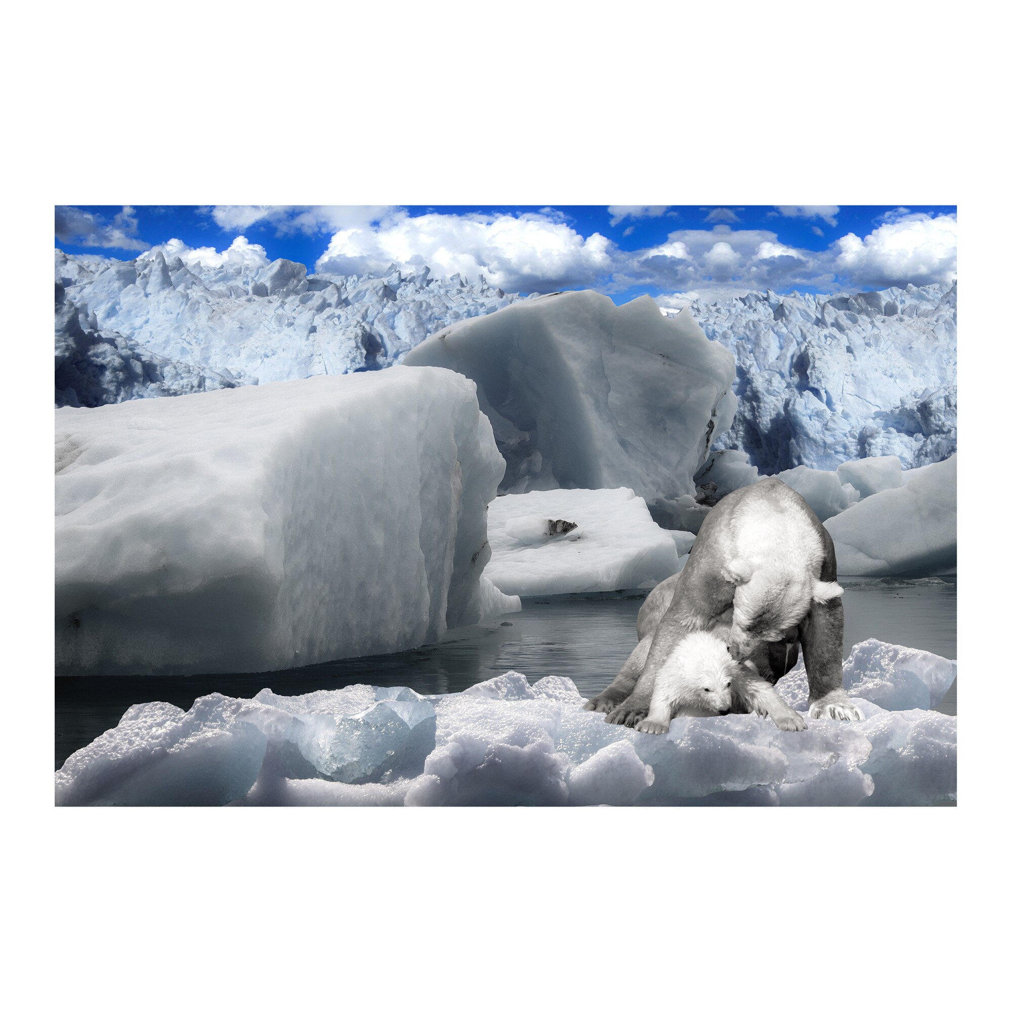 Tablou Canvas Artantida - Polar Bear 80x60 cm