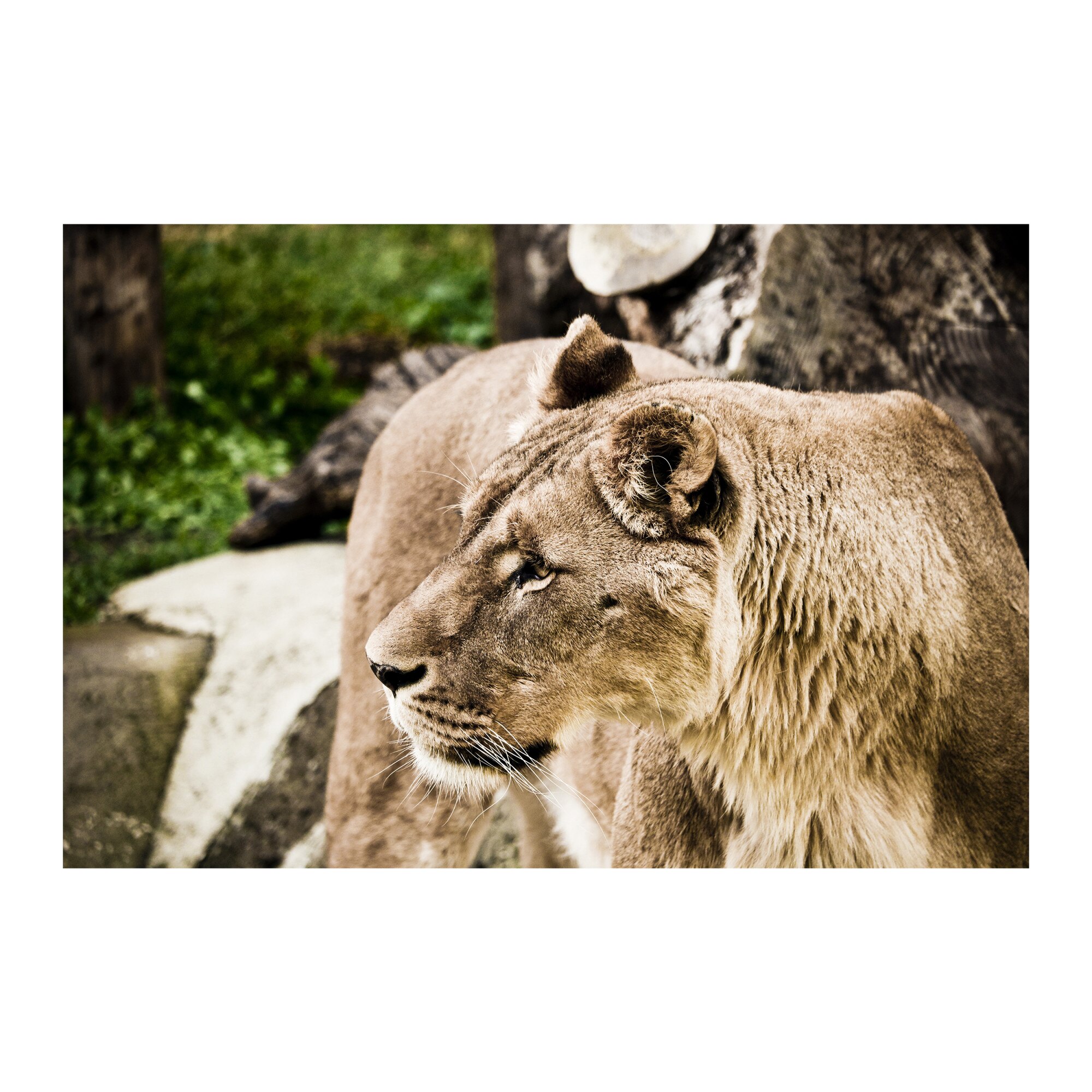 Tablou Canvas Artantida - Lyon 80x60 cm