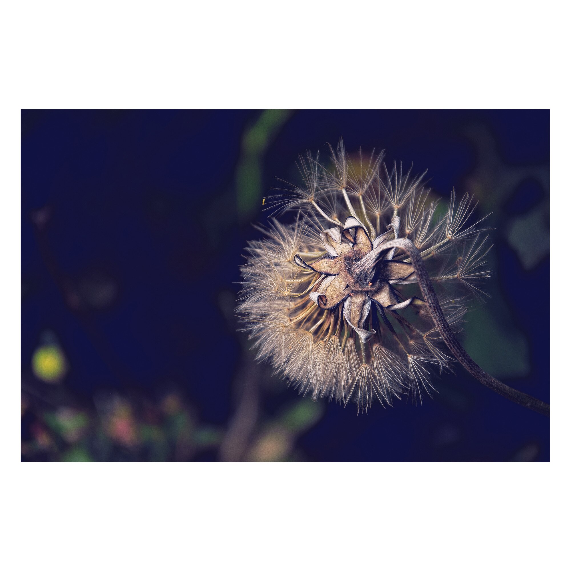 Tablou Canvas Artantida - Abstract Flower 60x40 cm