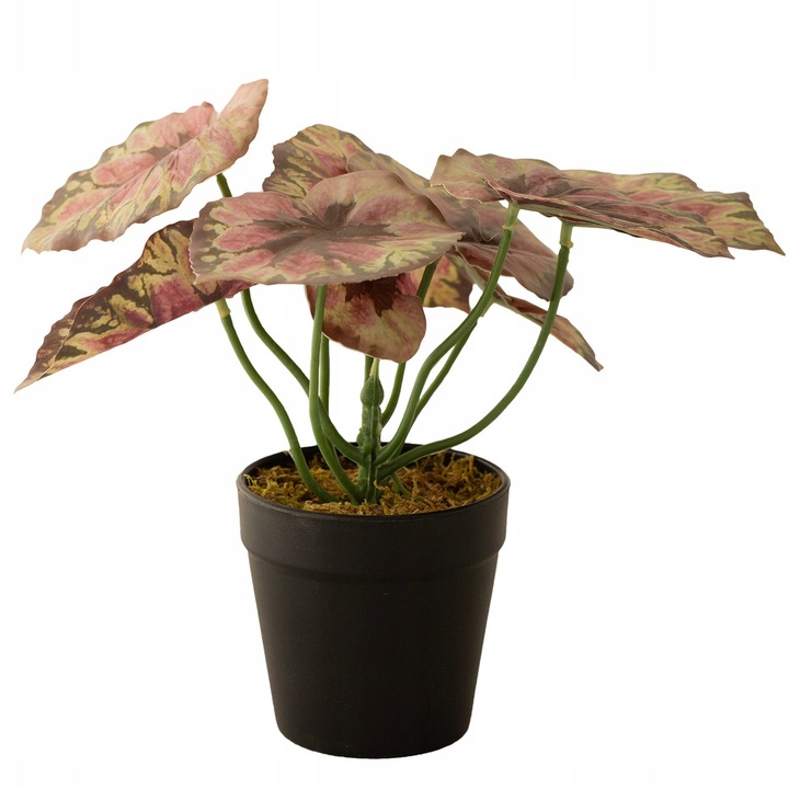 Planta artificiala Begonia Etna, decorativa, multicolor, 9x22cm