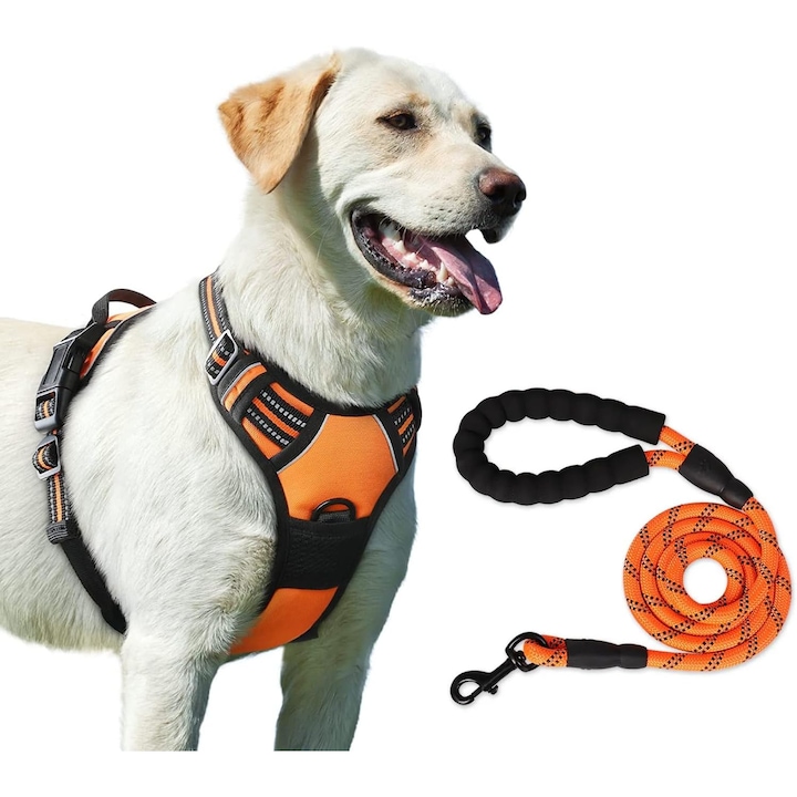 Set ham si lesa pentru animale de companie, DicBoster, rezistent la explozii, cu benzi reflectorizante, ham reglabil si lesa de 1, 5 m, portocaliu, XL