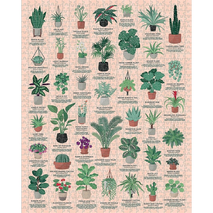 Ridley's Games - House Plants 1000 db-os puzzle
