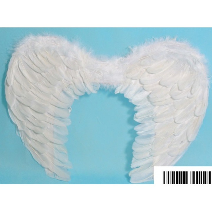 Midex festmény, Aniole szárnyak, 60x40cm