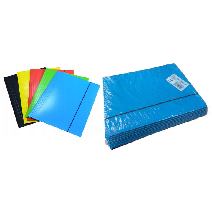 Set dosare A4, Schemat, 10 buc, colorat