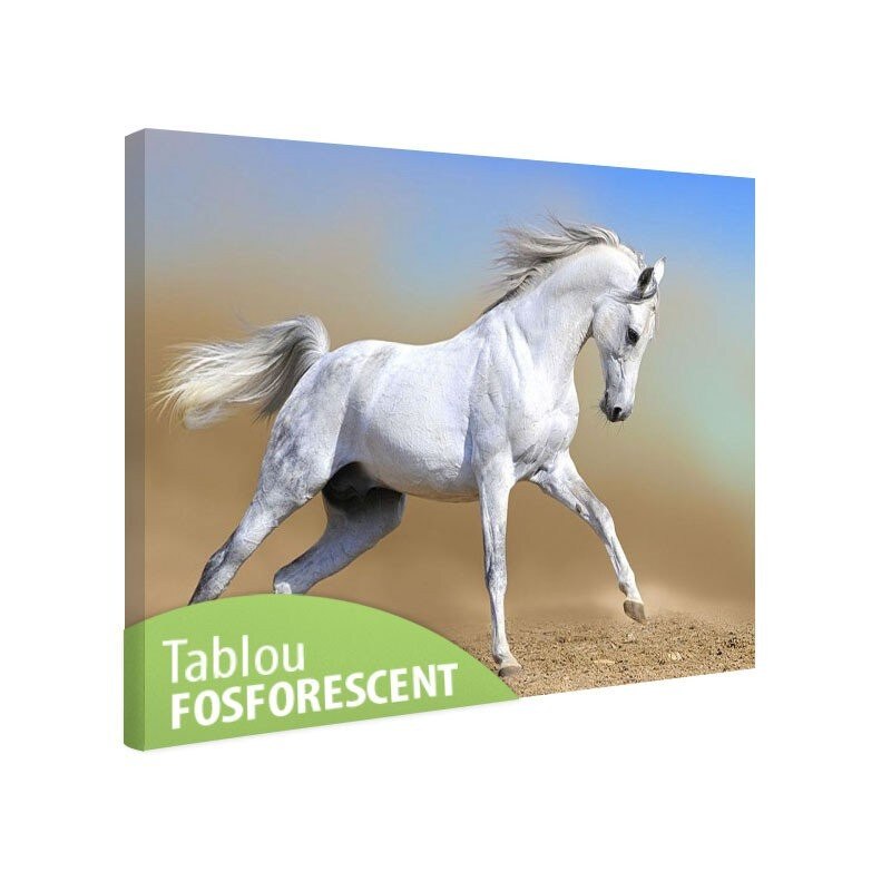 Tablou fosforescent Cal arab, 120x80 cm