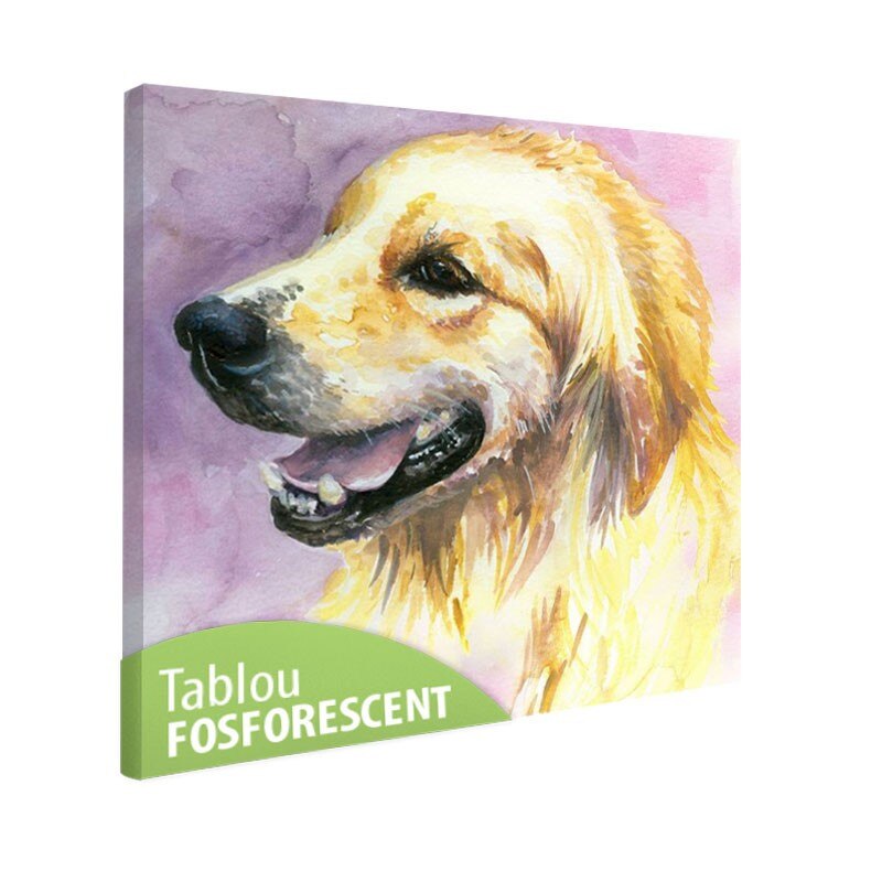 Tablou fosforescent Labrador, 30x30 cm