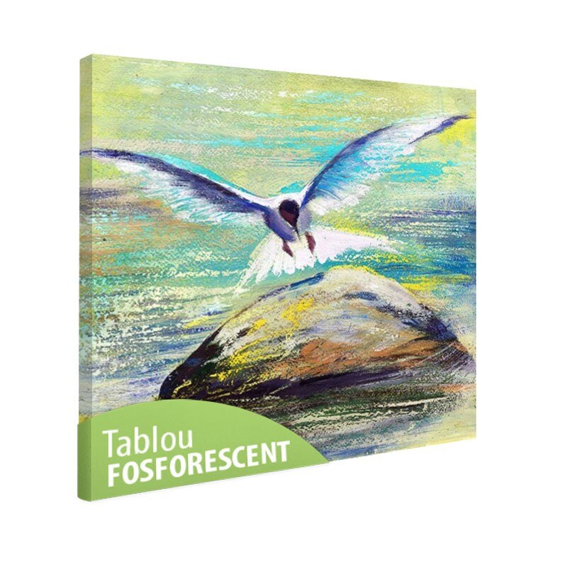 Tablou fosforescent Pescarus, 50x50 cm