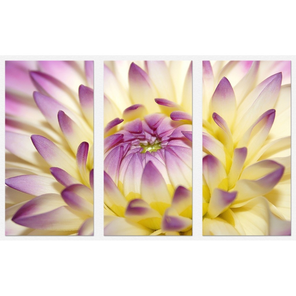 Set tablou 3 piese fosforescent Floarea se deschide 60x30 cm