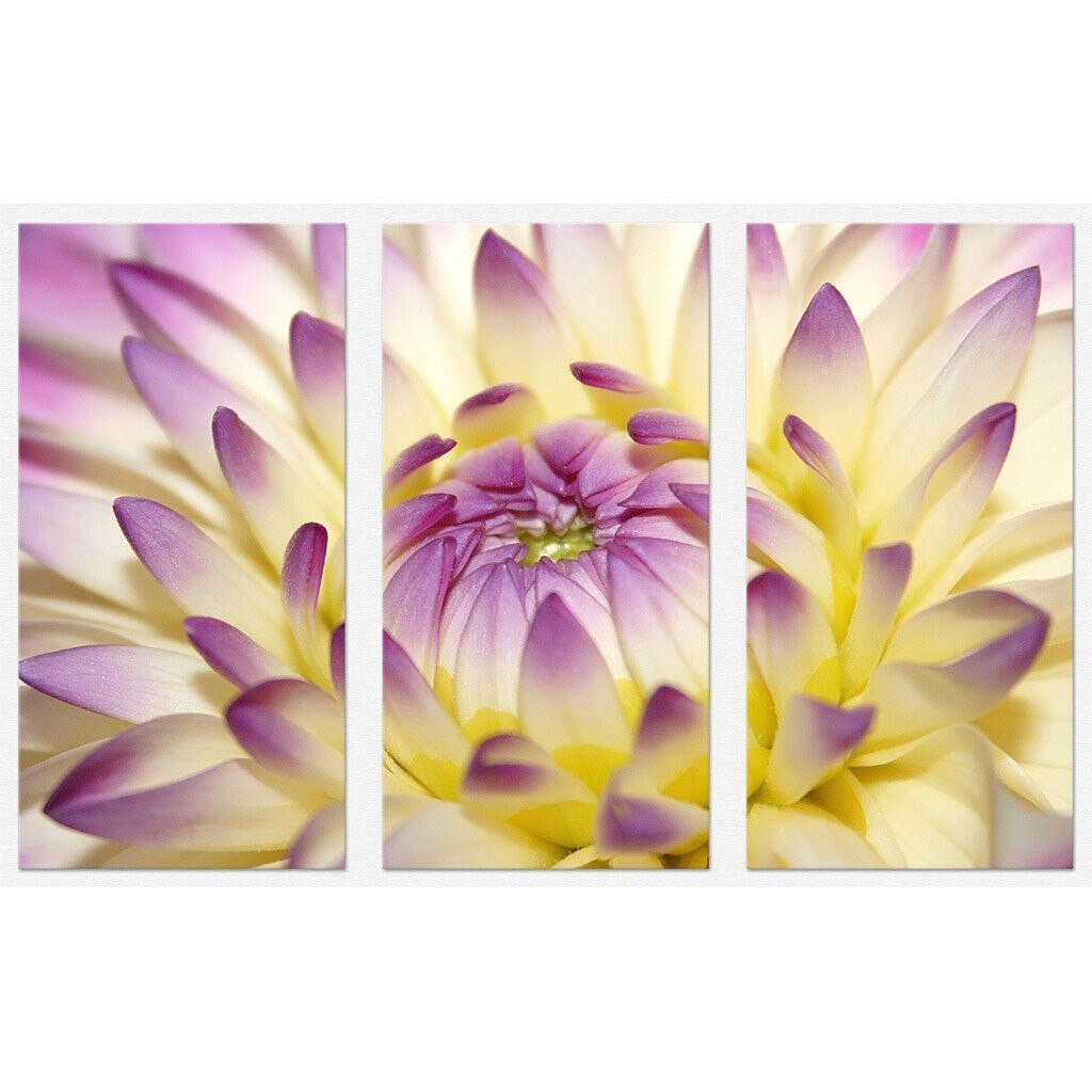 Set tablou 3 piese fosforescent Floarea se deschide 80x40cm