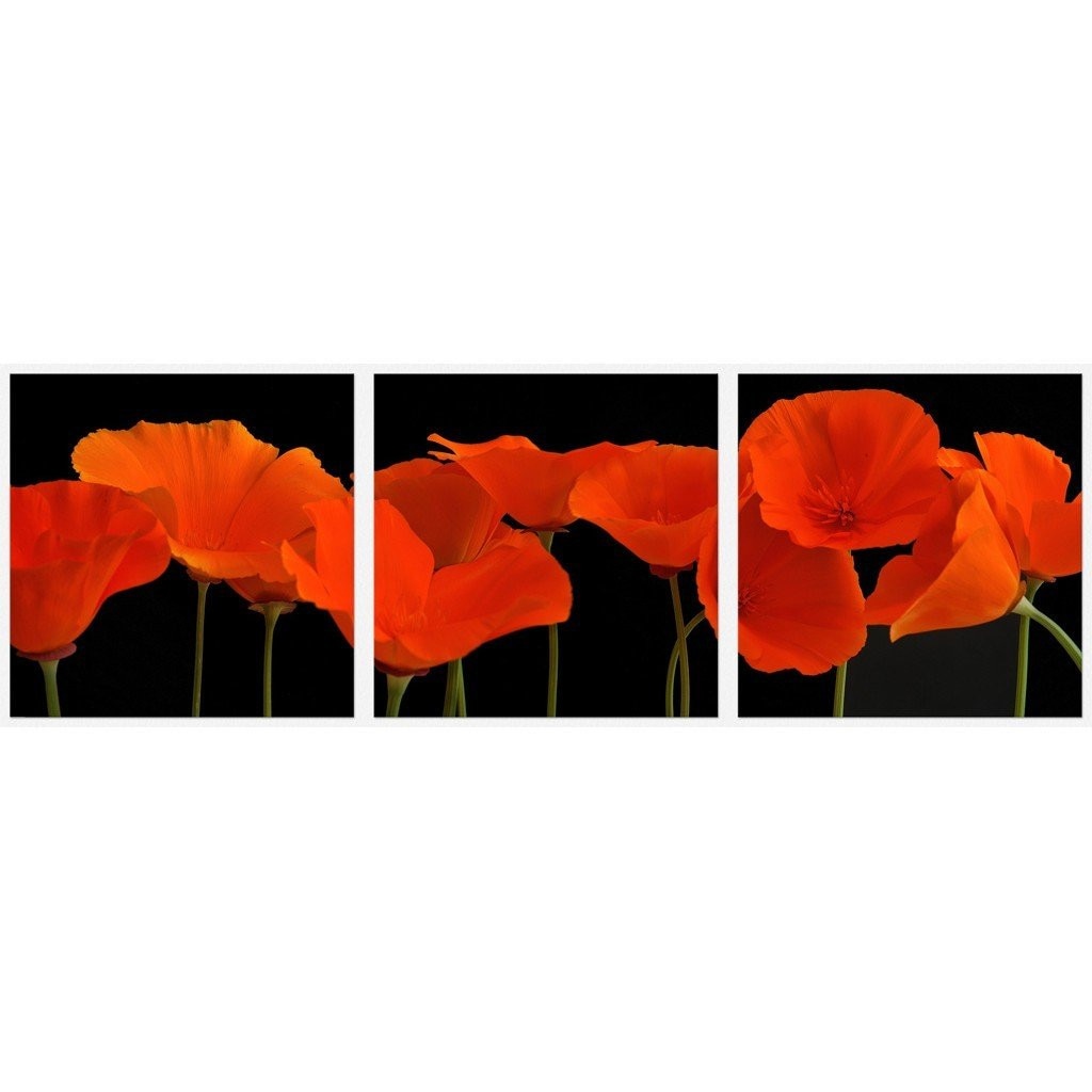 Set tablou fosforescent Maci portocalii 40x40 cm