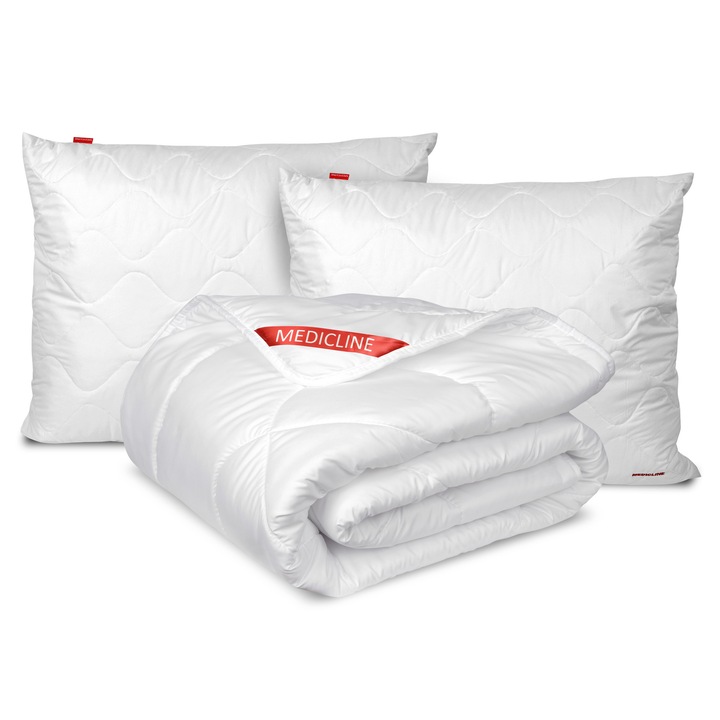 Pilote antialergice AIO Factory, set cu 2 perne 70x80cm, 160x200cm, microfibra, multicolor