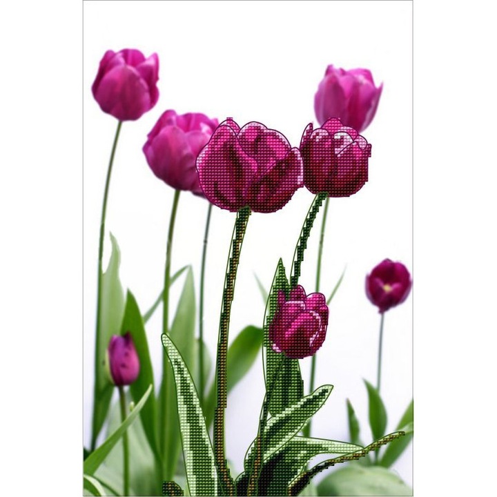 Kanwa 3D festmény, Lengyelországban készült, 20x30cm, 5433-1 modell