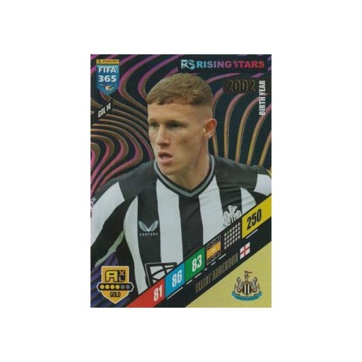 Panini Adrenalyn XL társasjáték 365 2024 GOL14 Elliot Anderson, Newcastle United, Arany, Rising Star